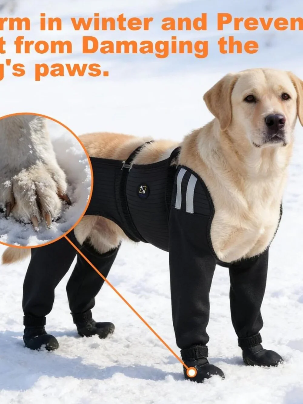Dog Socks for All 4 Paws, Waterproof, Non-Slip, Paw Protection, Large, Black